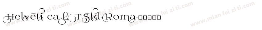 Helveti caLTStd-Roma字体转换